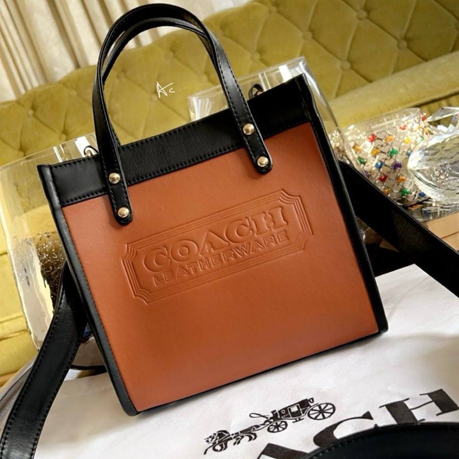 Trendy Coach Handbag for Women (LE3406)