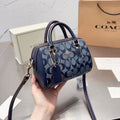 Trendy Coach Handbag for Women (LE3408)