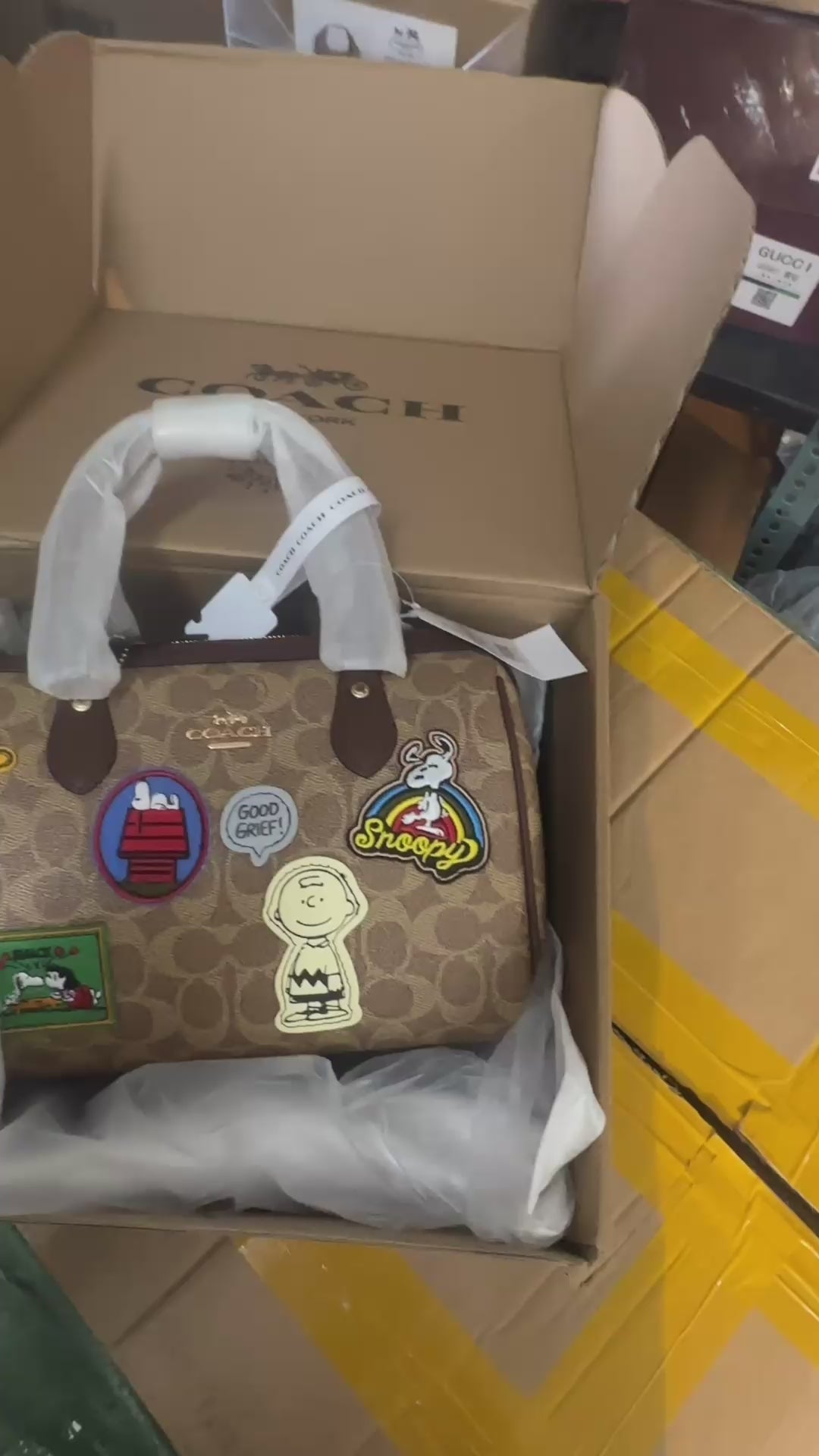Coach x Peanuts Rowan Satchel Bag